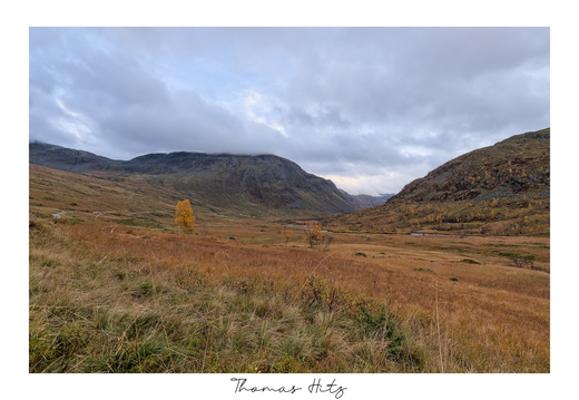 Autumn in Norway: Vikjadalen